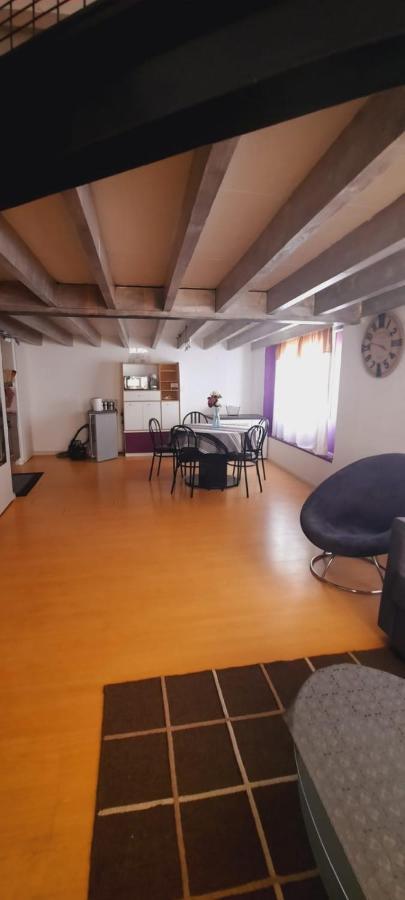 ボルドーLoft Saint Pierreアパートメント エクステリア 写真