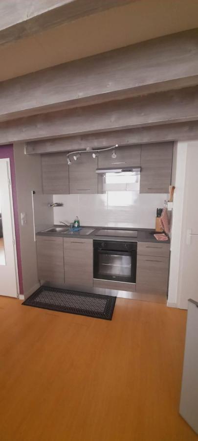 ボルドーLoft Saint Pierreアパートメント エクステリア 写真