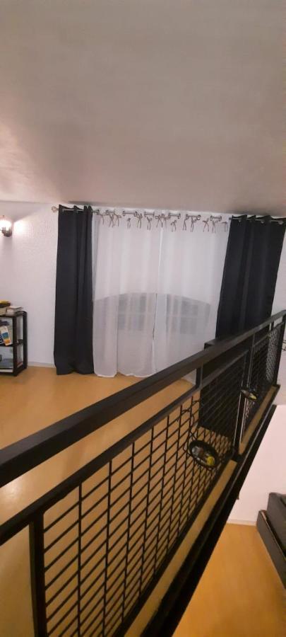 ボルドーLoft Saint Pierreアパートメント エクステリア 写真
